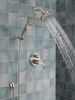 Shower Arm