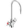 Two Handle Deck Mount Single Shank Laboratory Mixing Faucet