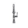 Single Handle Pull-Down Kitchen Faucet with ShieldSpray&reg; Technology