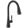 Single Handle Pull-Down Kitchen Faucet with ShieldSpray Technology