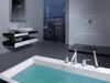 HydraChoice&reg; Round Body Spray Trim