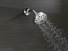 Shower Arm
