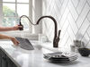 Single Handle Pull-Down Kitchen Faucet with ShieldSpray&reg; Technology