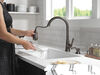 Single Handle Pull-Down Kitchen Faucet with Soap Dispenser and ShieldSpray&reg; Technology