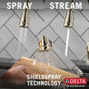 Single Handle Pull-Down Kitchen Faucet with Soap Dispenser and ShieldSpray