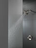 Shower Arm