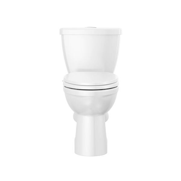 Toilet Dual-Flush with Bidet Seat Bundle