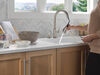 Single Handle Pull-Down Kitchen Faucet with Soap Dispenser and ShieldSpray&reg; Technology