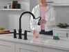 Two Handle Pull-Down Bridge Kitchen Faucet