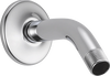 Shower Arm & Flange
