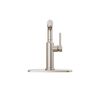 Single Handle Pull-Out Kitchen Faucet