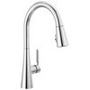 Single Handle Kitchen Pull-Down Faucet