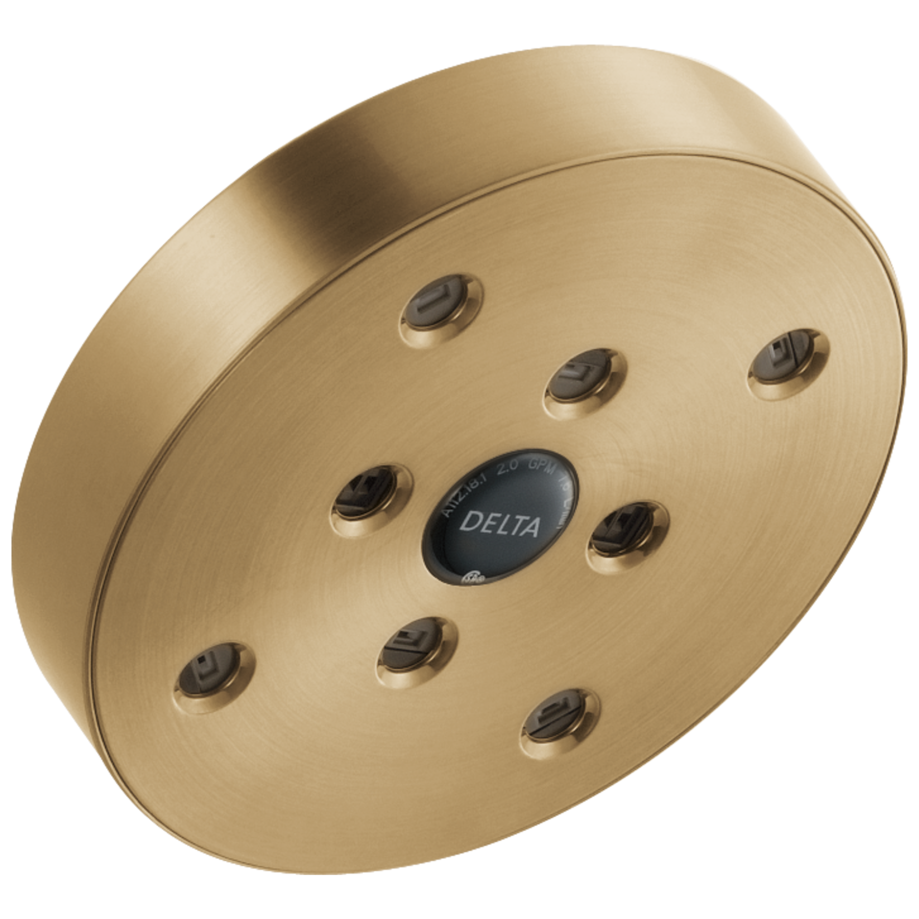 H2Okinetic&reg; Single-Setting Raincan Shower Head