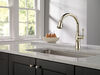 Single Handle Pull-Down Kitchen Faucet with ShieldSpray&reg; Technology