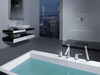 HydraChoice&reg; Round Body Spray Trim
