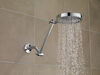 Shower Arm