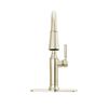 Single Handle Pull-Down Kitchen Faucet