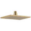 Shower Head