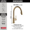 Single Handle Pull-Down Kitchen Faucet