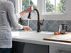 Single Handle Pull-Down Kitchen Faucet with Touch2O&reg; and ShieldSpray&reg; Technologies