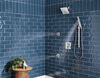 Flange - Shower