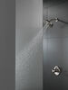 Shower Arm