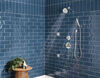 Premium Single-Setting Adjustable Wall Mount Hand Shower