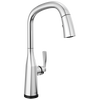 VoiceIQ&reg; Single Handle Pull-Down Faucet with Touch<sub>2</sub>O&reg; Technology