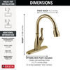 Single Handle Pull-Down Kitchen Faucet with ShieldSpray&reg; Technology