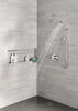 H<sub>2</sub>Okinetic&reg; 5-Setting Contemporary Raincan Shower Head