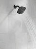 Shower Flange