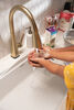 Single-Handle Pull-Down Kitchen Faucet with Touch<sub>2</sub>O&reg; Technology