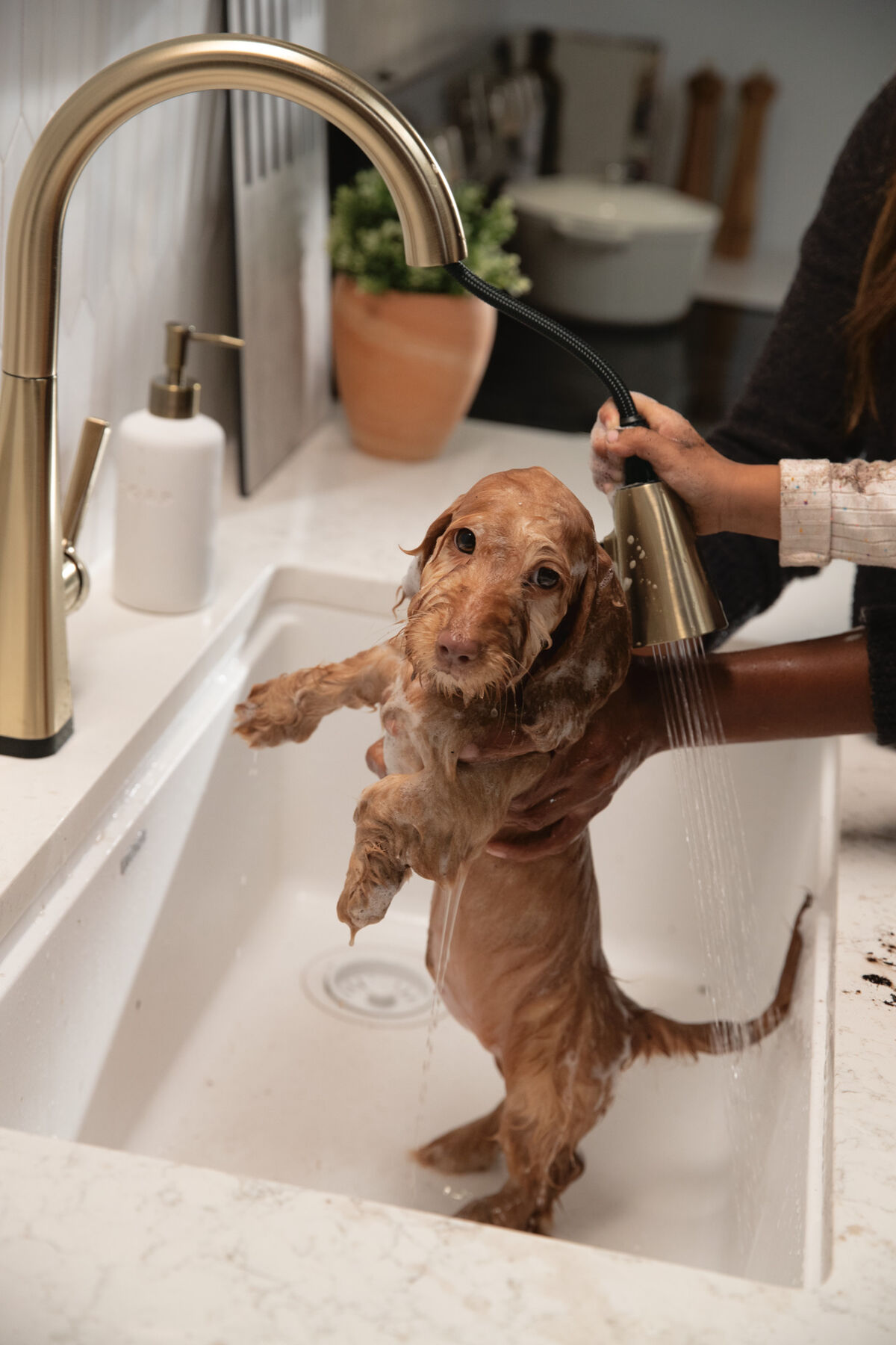 Single-Handle Pull-Down Kitchen Faucet with Touch<sub>2</sub>O&reg; Technology