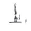 Single Handle Pull-Down Kitchen Faucet with Soap Dispenser and ShieldSpray
