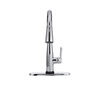 Single Handle Pull-Down Kitchen Faucet with Touch2O&reg; Technology