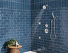 Premium Single-Setting Adjustable Wall Mount Hand Shower