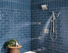 Shower Arm