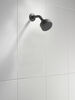 Shower Flange