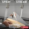 Single-Handle Pull-Down Kitchen Faucet with Touch<sub>2</sub>O&reg; Technology