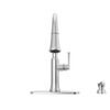 Single Handle Pull-Down Kitchen Faucet with Soap Dispenser and ShieldSpray Technology