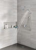 H<sub>2</sub>Okinetic&reg; 5-Setting Contemporary Raincan Shower Head