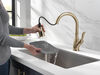 Single Handle Pull-Down Kitchen Faucet with ShieldSpray&reg; Technology
