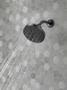 H2Okinetic&reg; 5-Setting Contemporary Raincan Shower Head