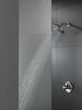 Shower Arm