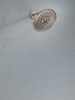 Shower Arm