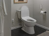 Ultimate Electronic Bidet Toilet Seat