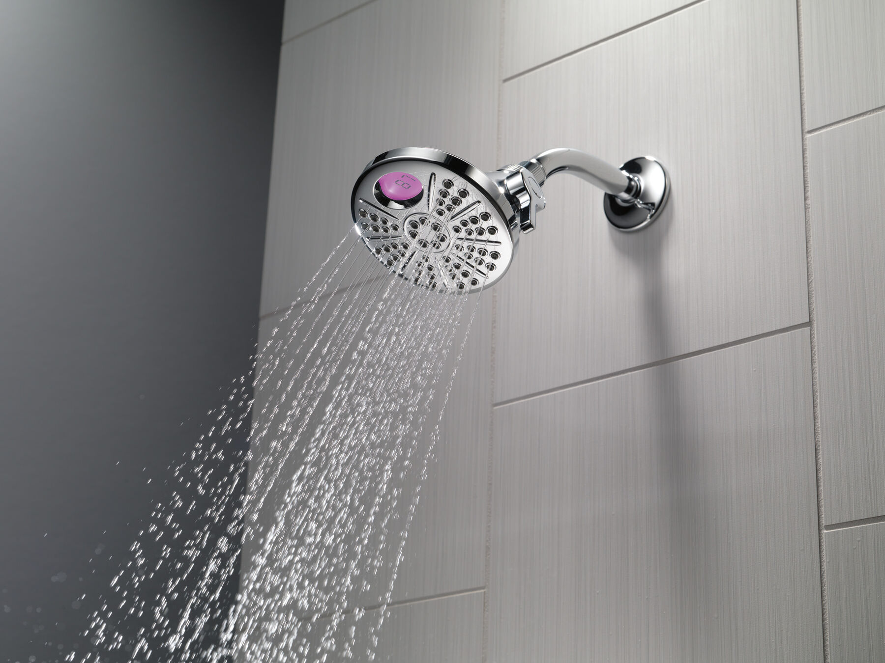 Temp2O&reg; Shower Head