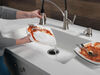 Single Handle Pull-Down Kitchen Faucet with ShieldSpray&reg; Technology