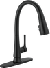 Single Handle Pull-Down Kitchen Faucet With ShieldSpray&reg;&nbsp;Technology in Matte Black