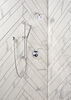 Shower Arm